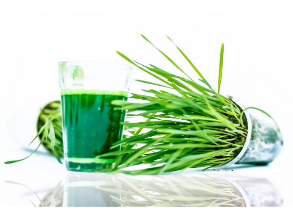 Is Wheatgrass Gluten-Free? The Truth About This Superfood