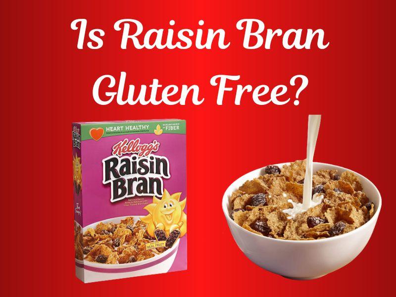 Is Raisin Bran Gluten Free?